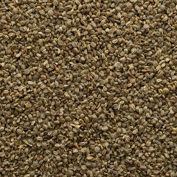 Celery Seed